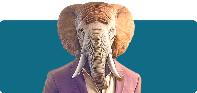Image Audit and Compliance Assessment